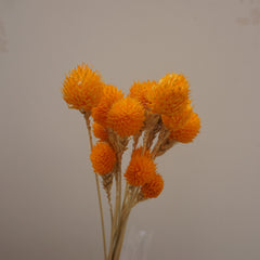 Strawberry fruit dried flower
