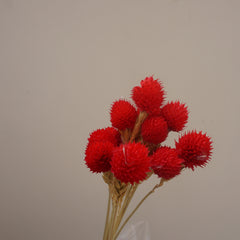 Strawberry fruit dried flower
