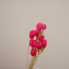 Strawberry fruit dried flower