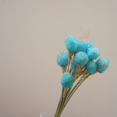 Strawberry fruit dried flower