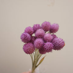 Strawberry fruit dried flower