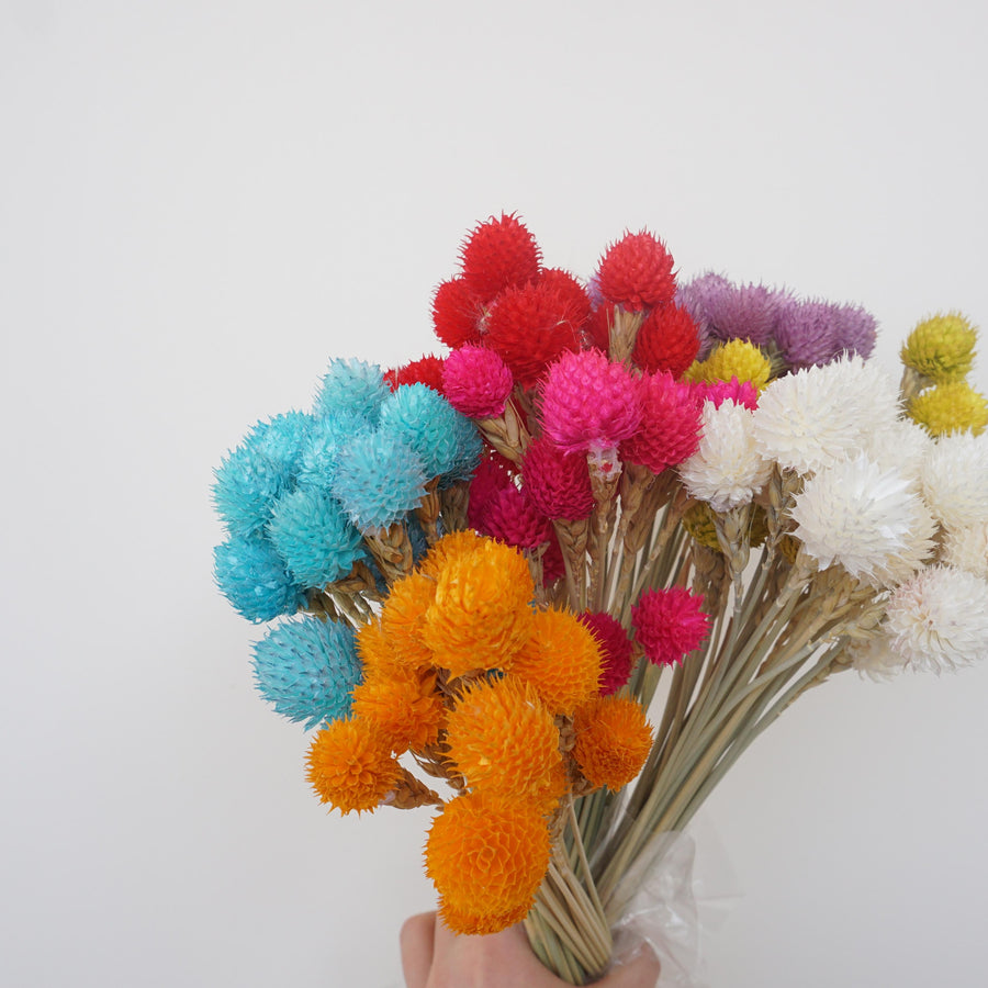 Strawberry fruit dried flower