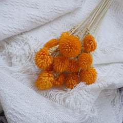 Strawberry fruit dried flower