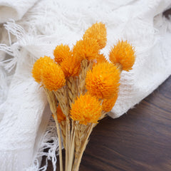 Strawberry fruit dried flower