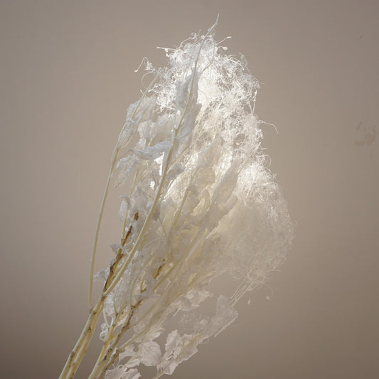 Lover in the mist,preserved flower