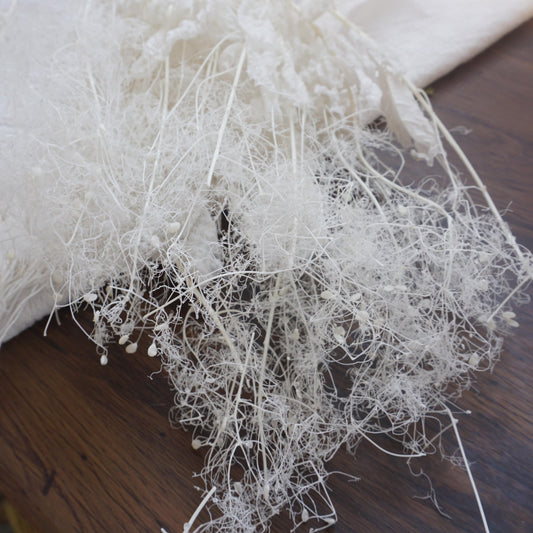 Lover in the mist,preserved flower