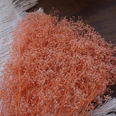 Oldham's Baby's Breath preserved flower