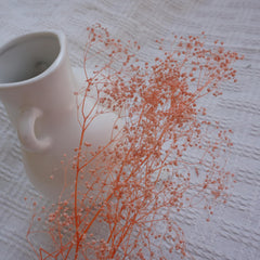 Oldham's Baby's Breath preserved flower