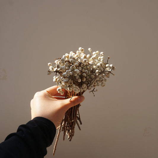 Ginkgo biloba,dried flower