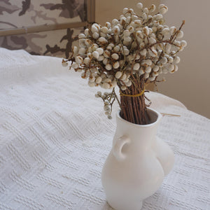 Ginkgo biloba,dried flower