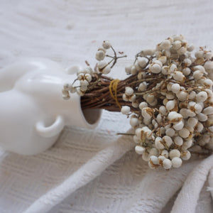 Ginkgo biloba,dried flower