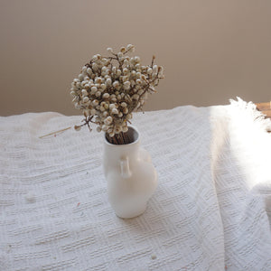 Ginkgo biloba,dried flower