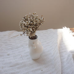Ginkgo biloba,dried flower