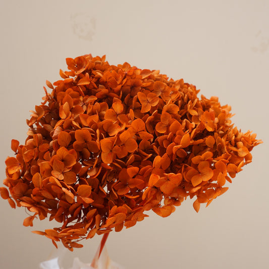 Preserved flower handrangea