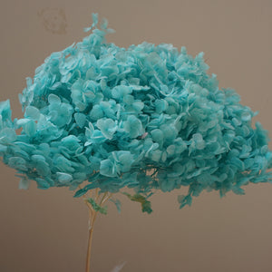 Preserved flower handrangea