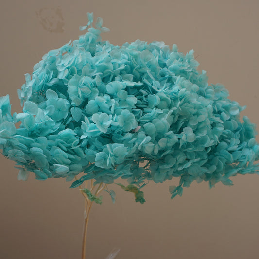 Preserved flower handrangea