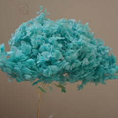 Preserved flower handrangea