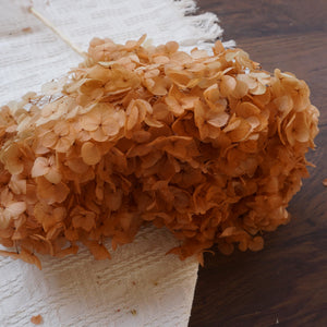 Preserved flower handrangea