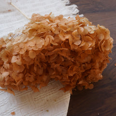 Preserved flower handrangea