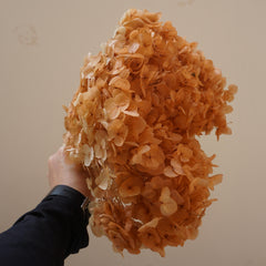 Preserved flower handrangea