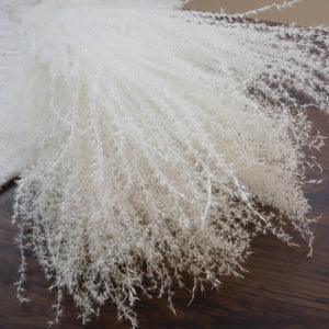 Small pampas grass ,home decor