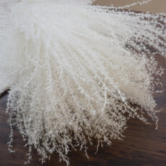 Small pampas grass ,home decor