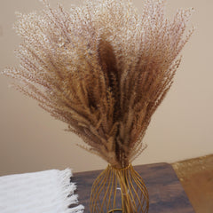 Small pampas grass ,home decor