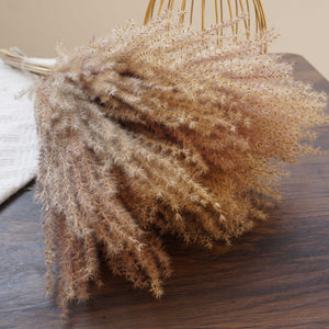 Small pampas grass ,home decor