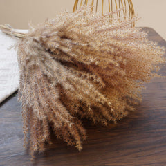 Small pampas grass ,home decor