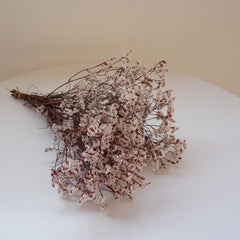 Preserved flower Crystal grass