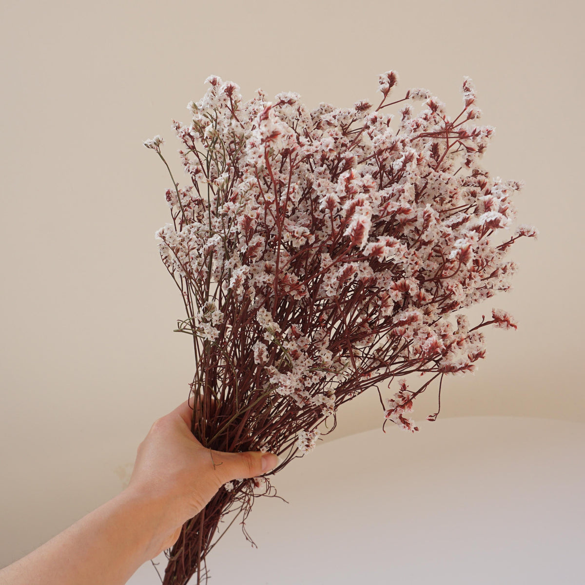 Preserved flower Crystal grass