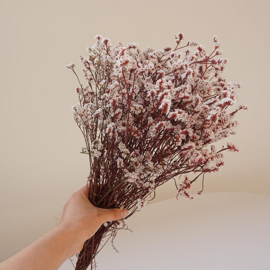 Preserved flower Crystal grass