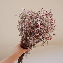Preserved flower Crystal grass