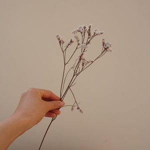 Preserved flower Crystal grass