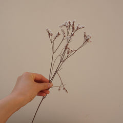 Preserved flower Crystal grass