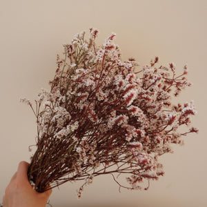 Preserved flower Crystal grass