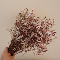 Preserved flower Crystal grass