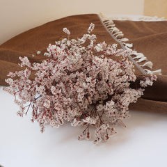 Preserved flower Crystal grass