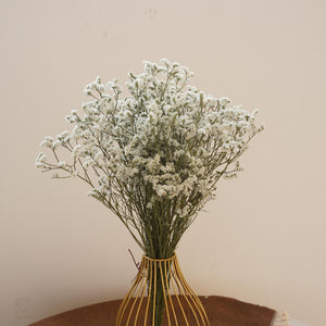 Crystal grass