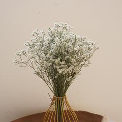 Crystal grass