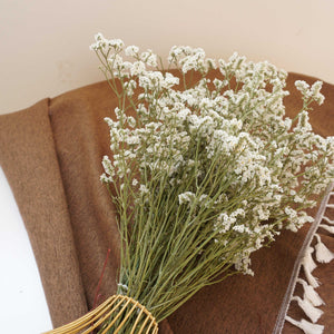 Crystal grass