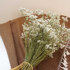 Crystal grass
