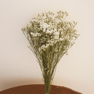 Crystal grass