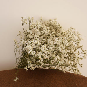 Crystal grass