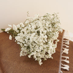 Crystal grass