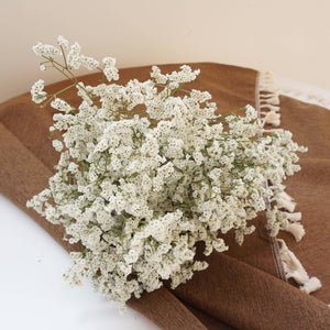 Crystal grass