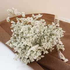 Crystal grass