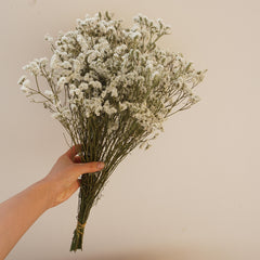 Crystal grass