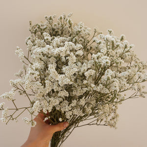 Crystal grass
