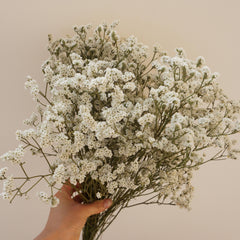 Crystal grass